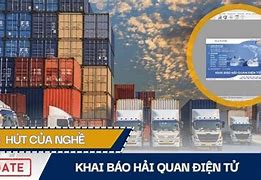 Học Về Khai Báo Hải Quan